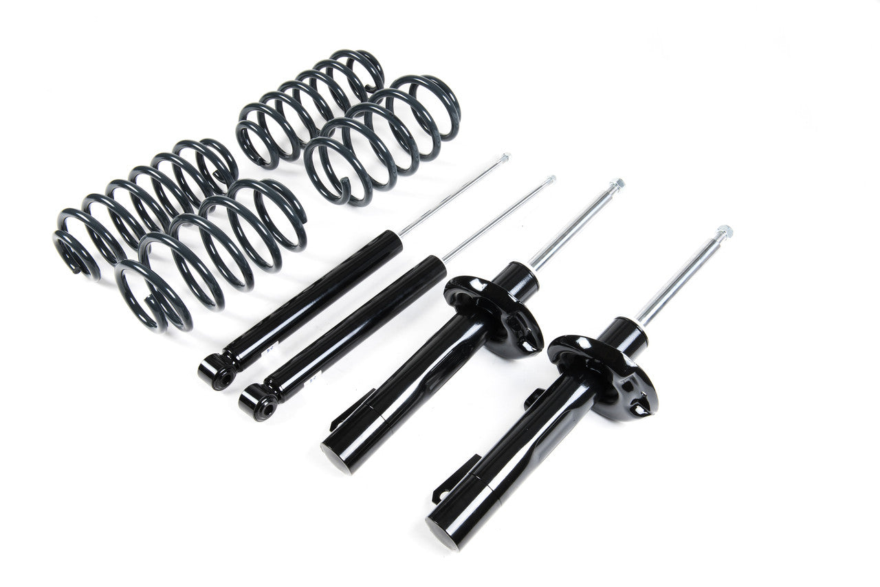 Sport Spring & Damper Kit(55mm Strut)/A5 Platform/Scirocco